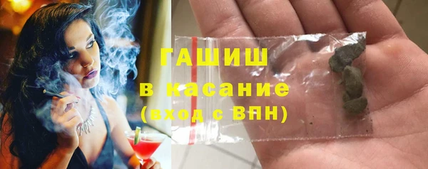 стаф Новозыбков
