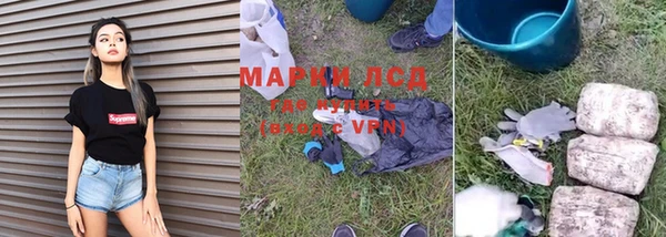 стаф Новозыбков