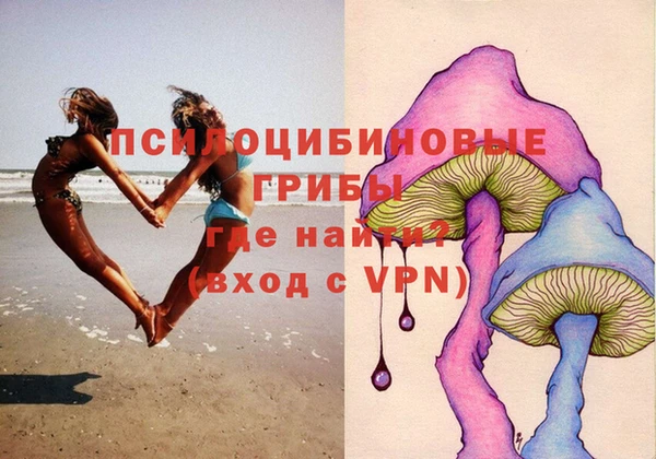 гашиш Новодвинск
