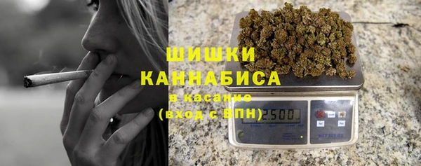 молекула духа Новокубанск