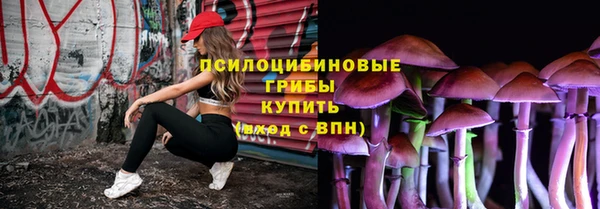 стаф Новозыбков