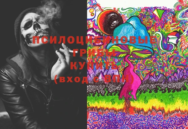 гашиш Новодвинск