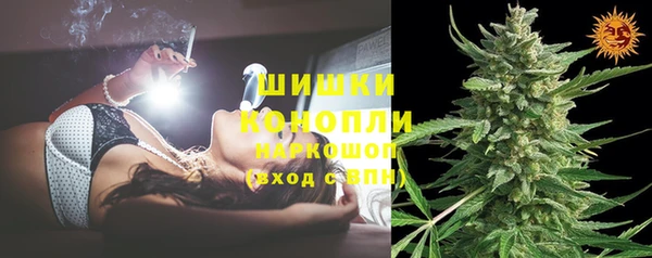 стаф Новозыбков