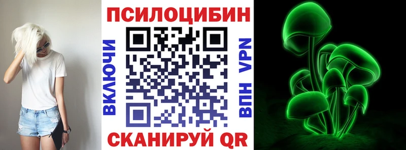Галлюциногенные грибы Psilocybe  ссылка на мегу зеркало  Севск 